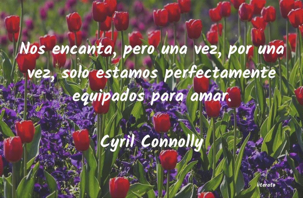 Frases de Cyril Connolly