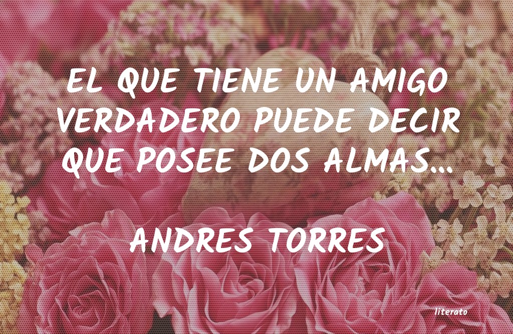 Frases de ANDRES TORRES