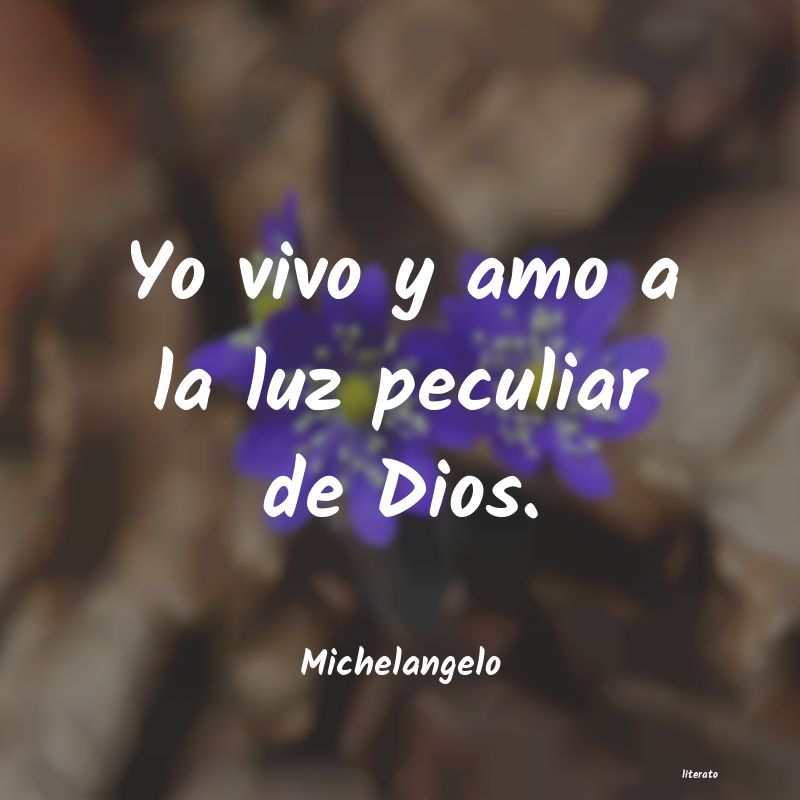 Frases de Michelangelo