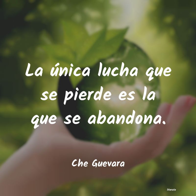 Frases de Che Guevara