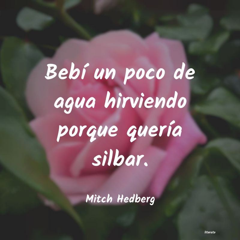 Frases de Mitch Hedberg