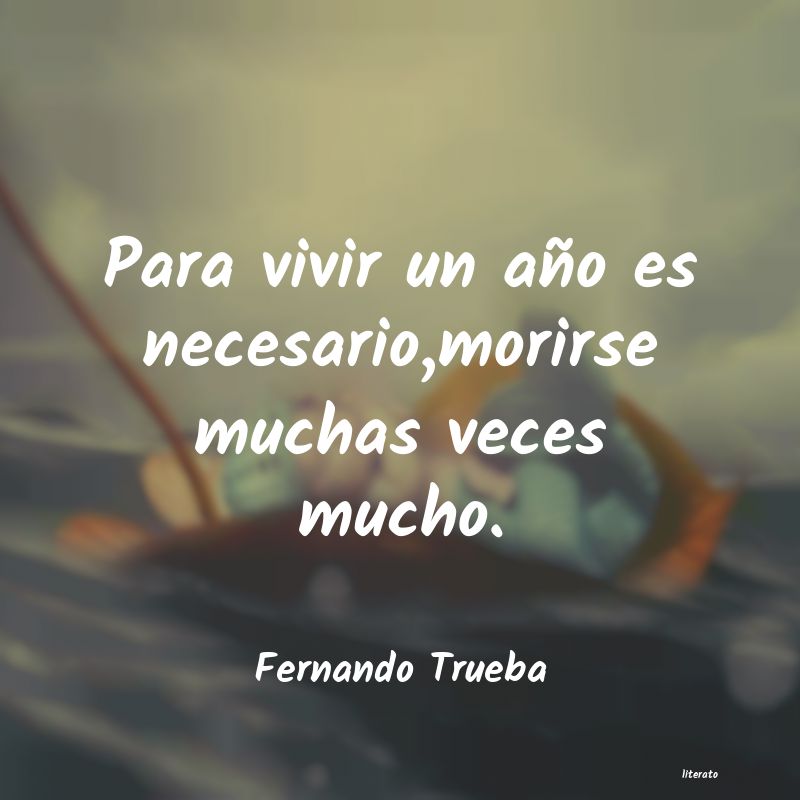 frases de Fernando Trueba