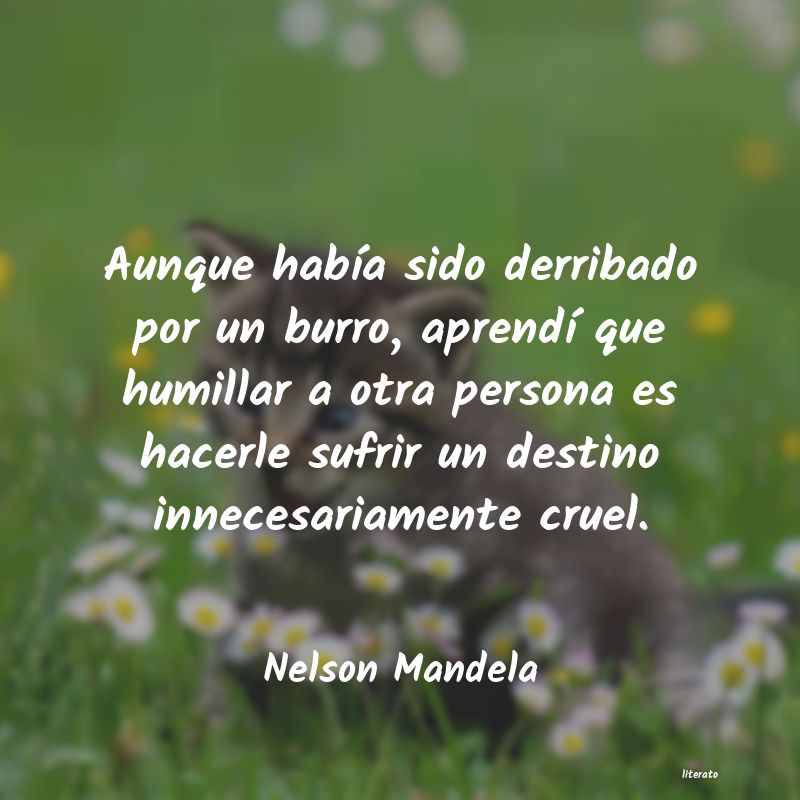 frases de Nelson Mandela