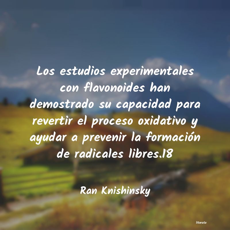 frases de Ran Knishinsky