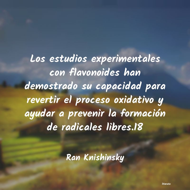 Frases de Ran Knishinsky