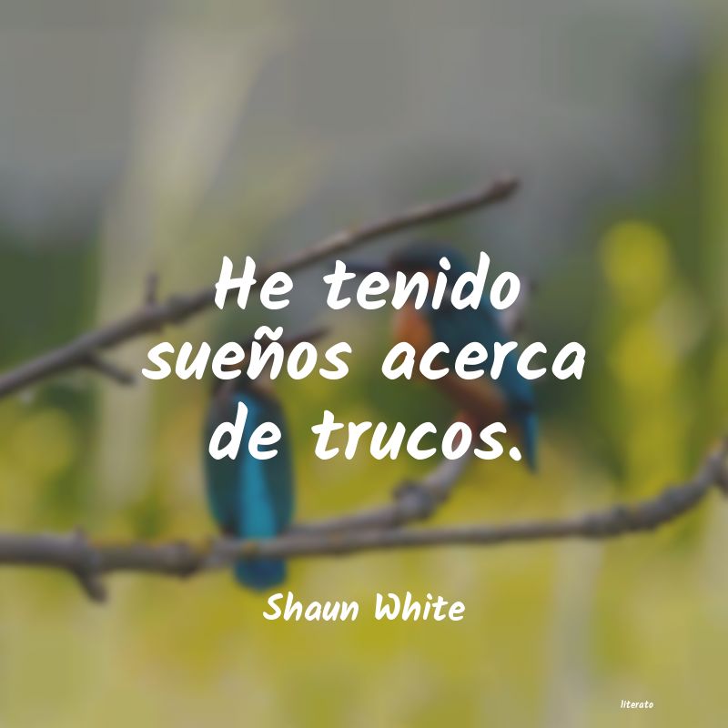 frases de Shaun White