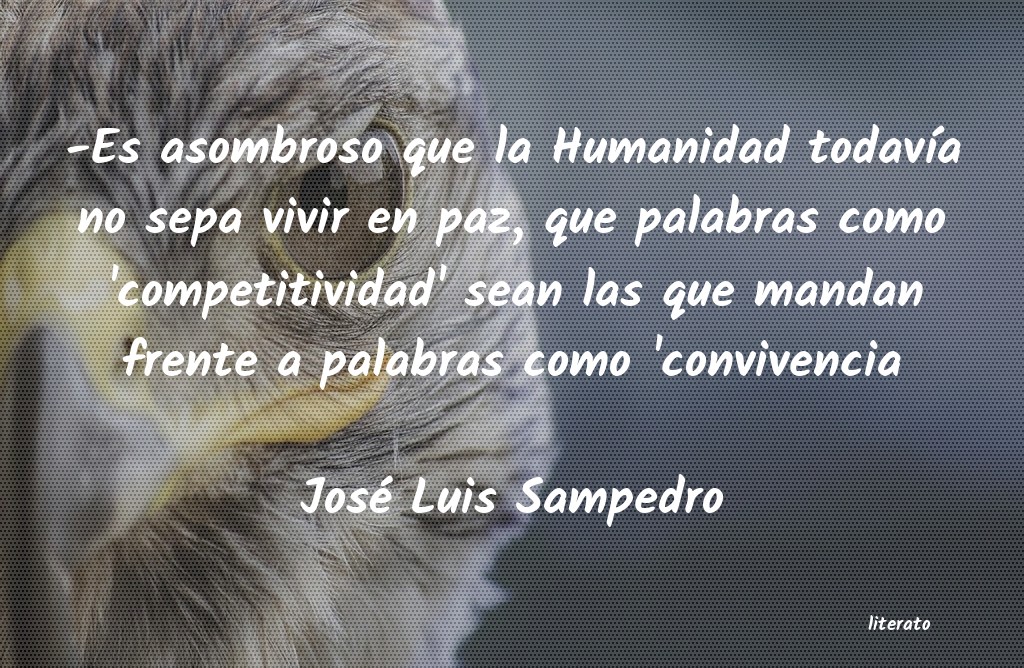 frases de José Luis Sampedro