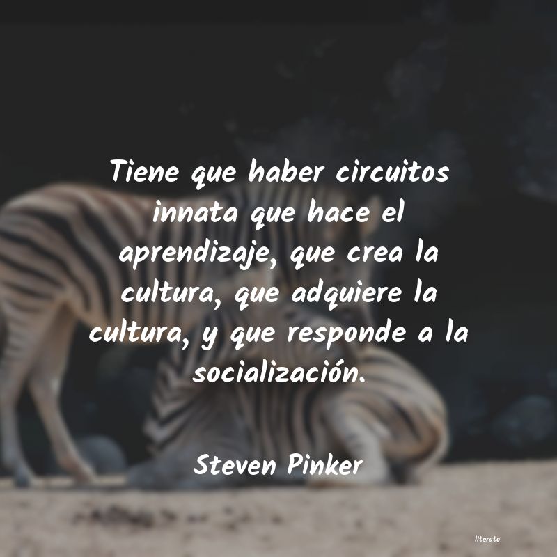 Frases de Steven Pinker