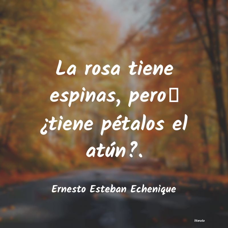 frases de Ernesto Esteban Echenique