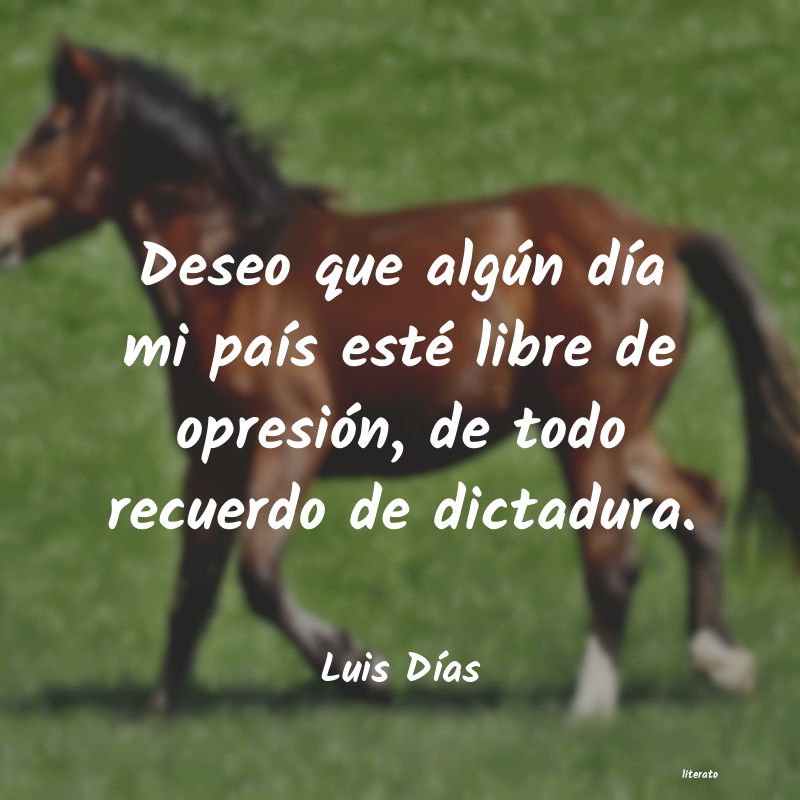 Frases de Luis Días