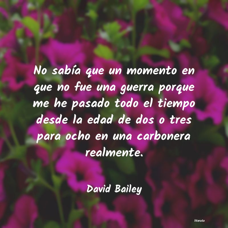 Frases de David Bailey