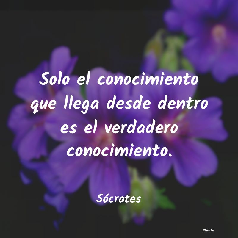 Frases de Sócrates