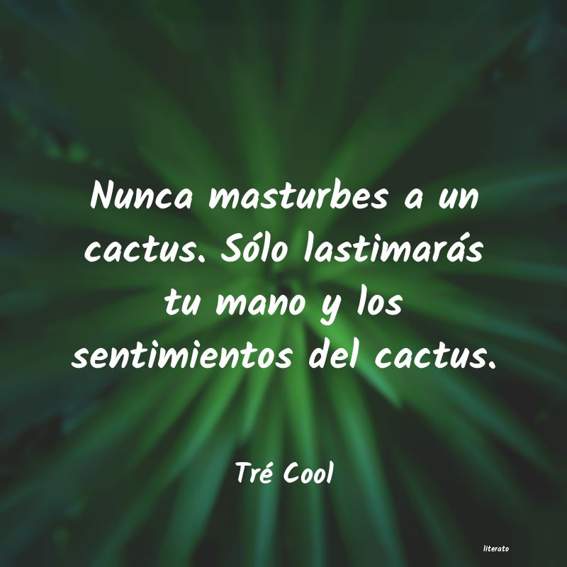 Frases de Tré Cool