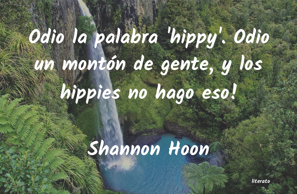 Frases de Shannon Hoon