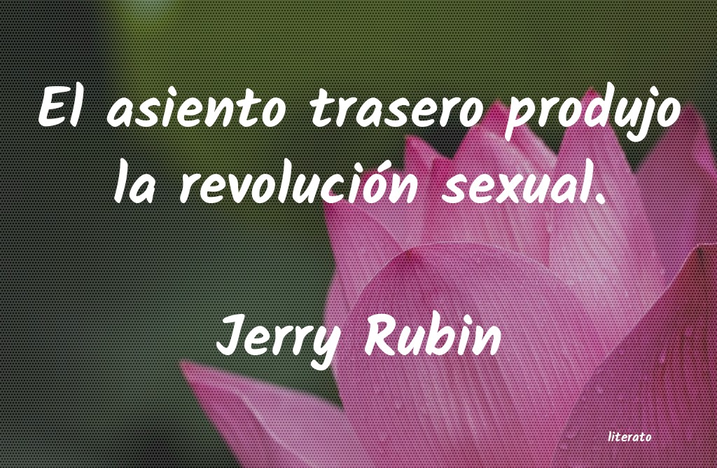 frases de Jerry Rubin
