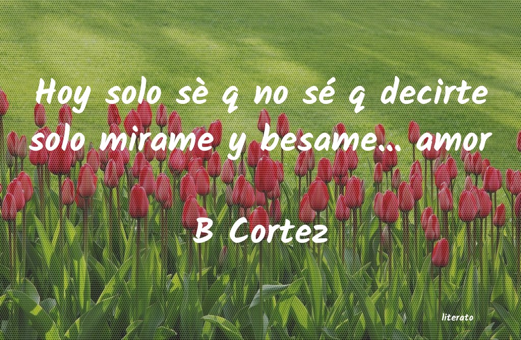 Frases de B Cortez