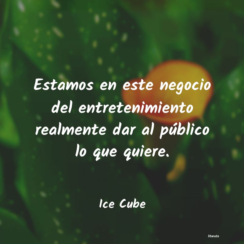 frases de Ice Cube