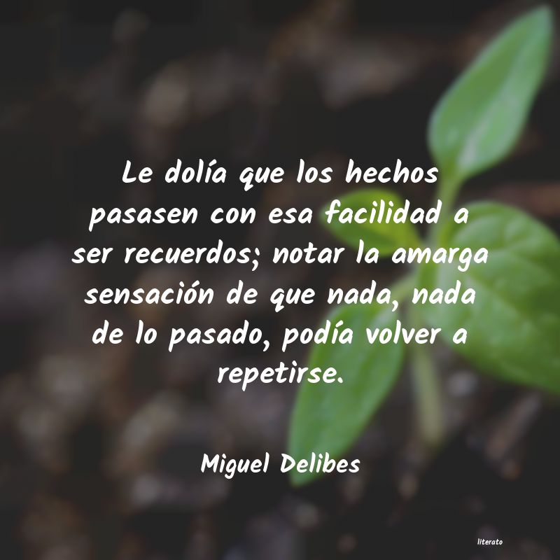 frases de Miguel Delibes