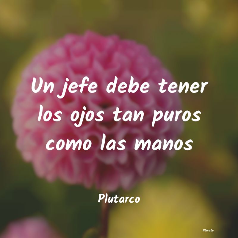 Frases de Plutarco