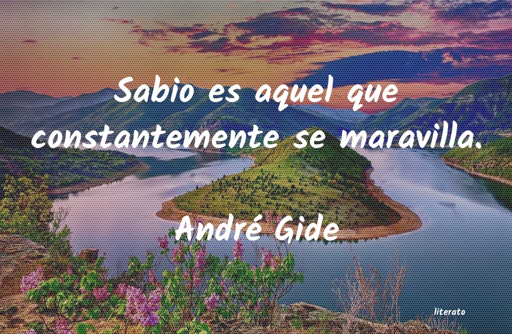 Frases de André Gide