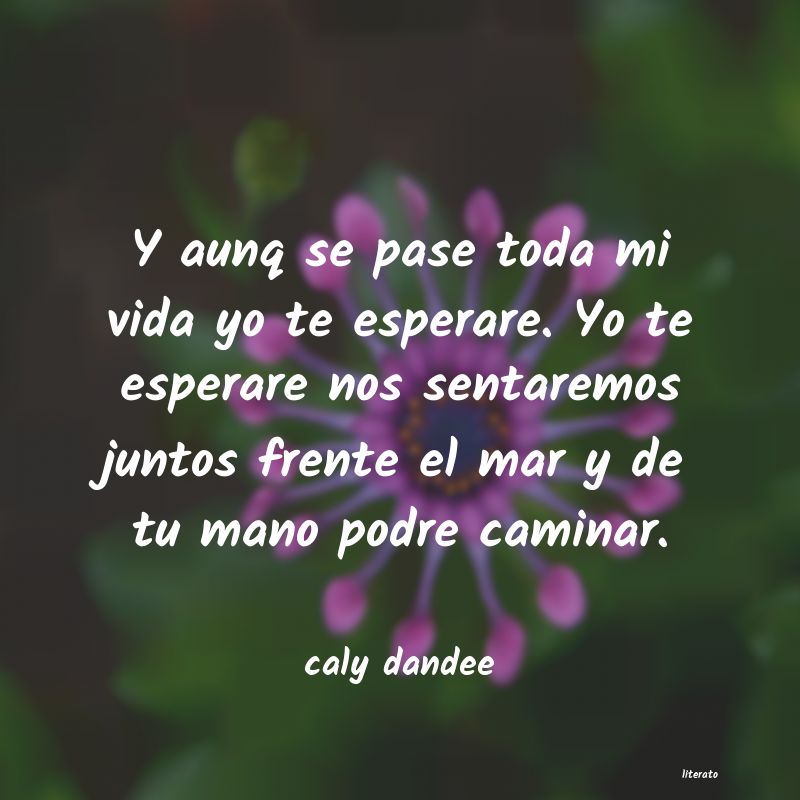 Frases de caly dandee