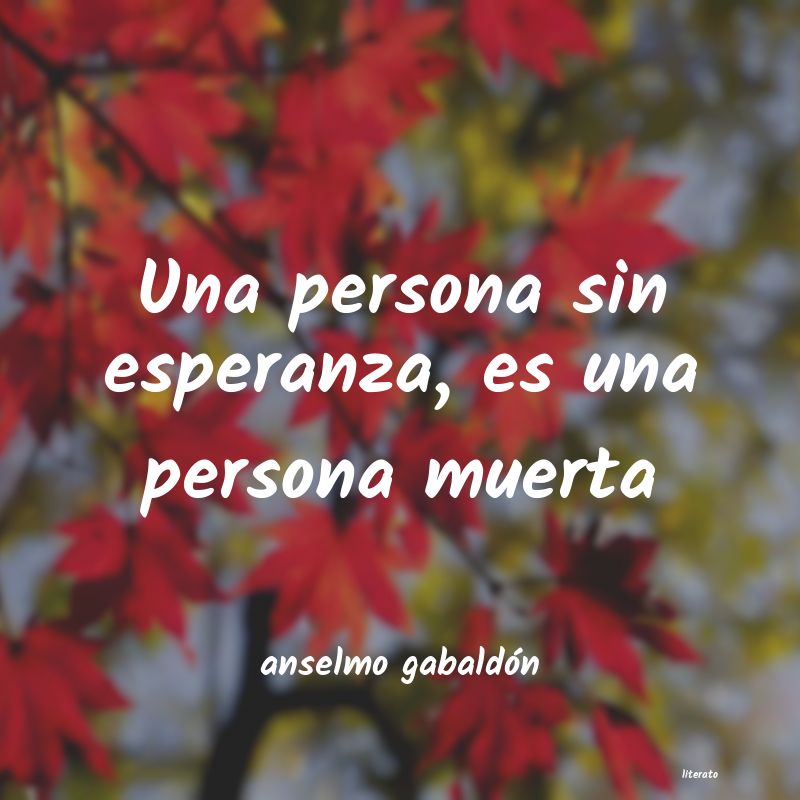 frases de anselmo gabaldón