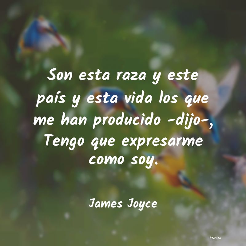 Frases de James Joyce