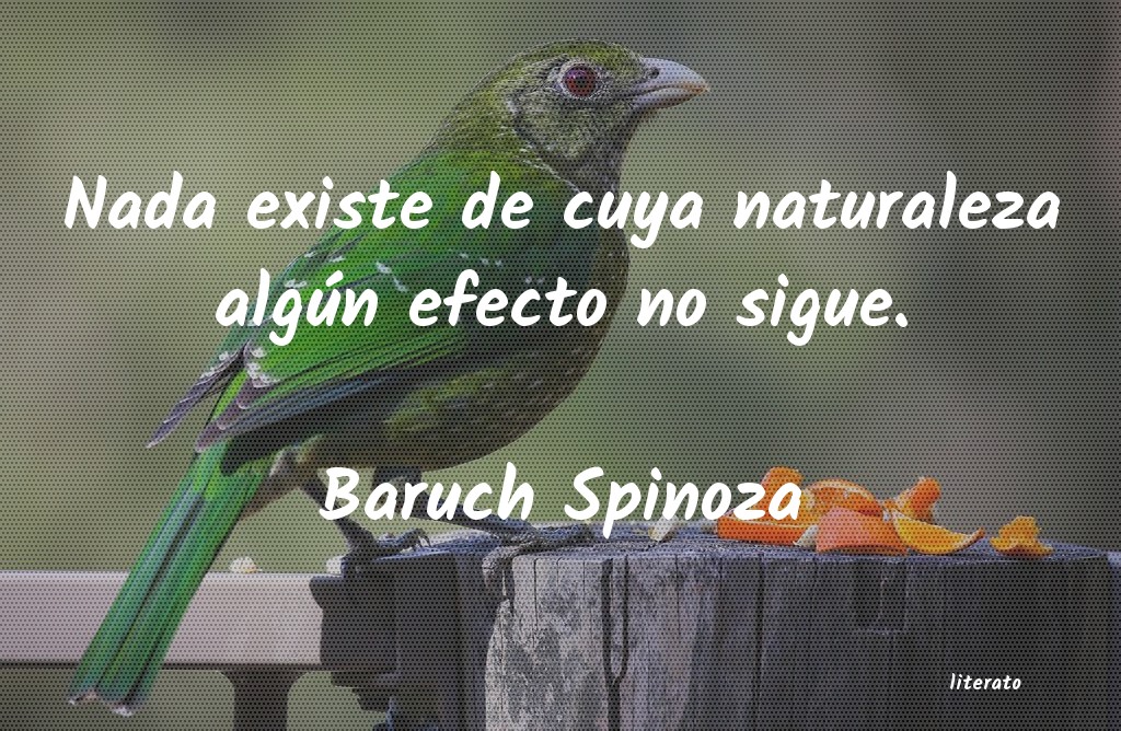 Frases de Baruch Spinoza