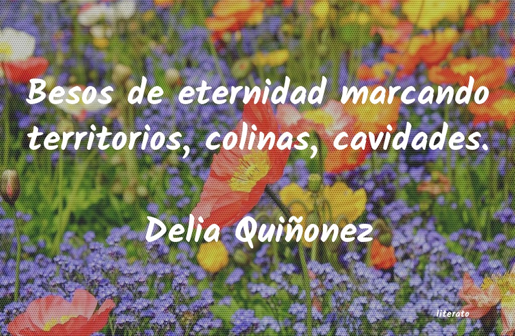 Frases de Delia Quiñonez