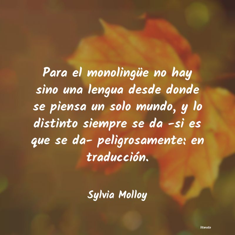 Frases de Sylvia Molloy
