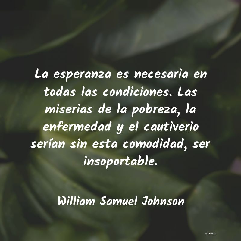 Frases de William Samuel Johnson
