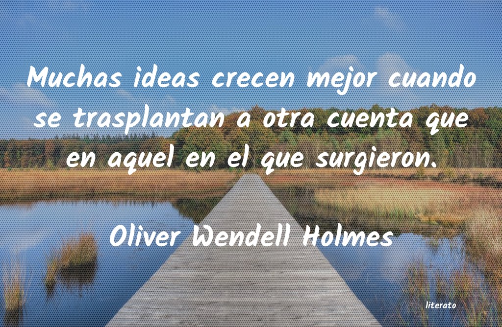 frases de Oliver Wendell Holmes
