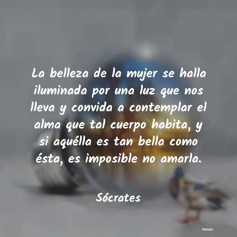 Frases de Sócrates