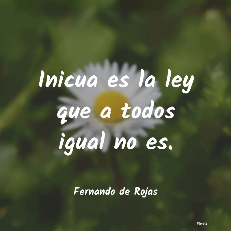 frases de Fernando de Rojas
