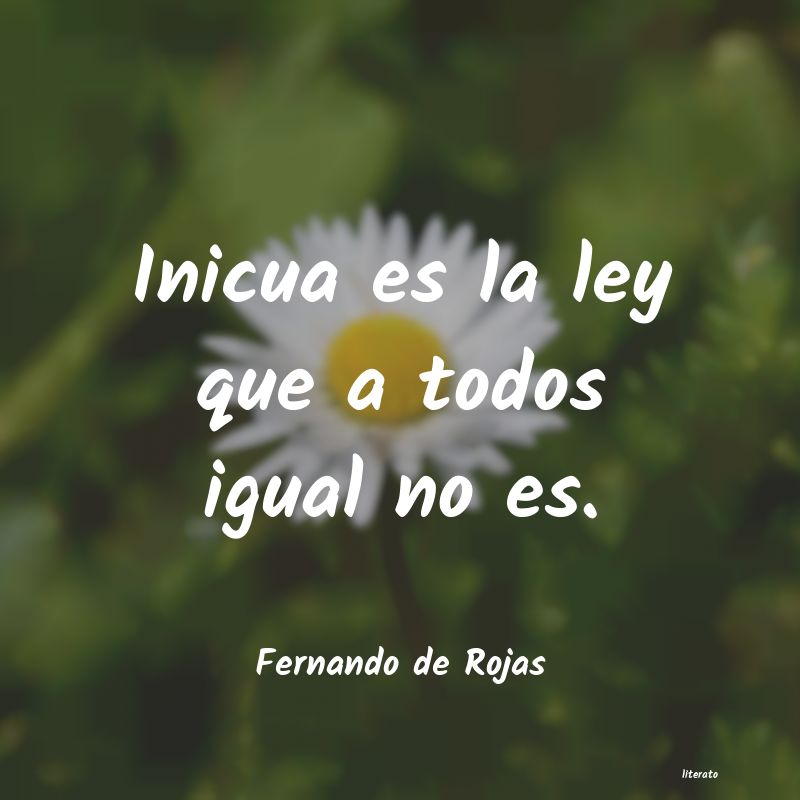 Frases de Fernando de Rojas