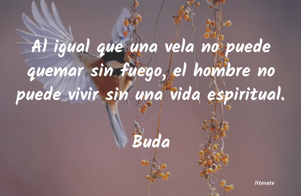 Frases de Buda