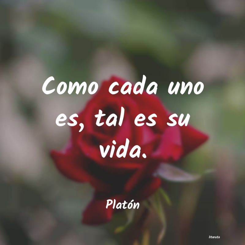 frases de Platón