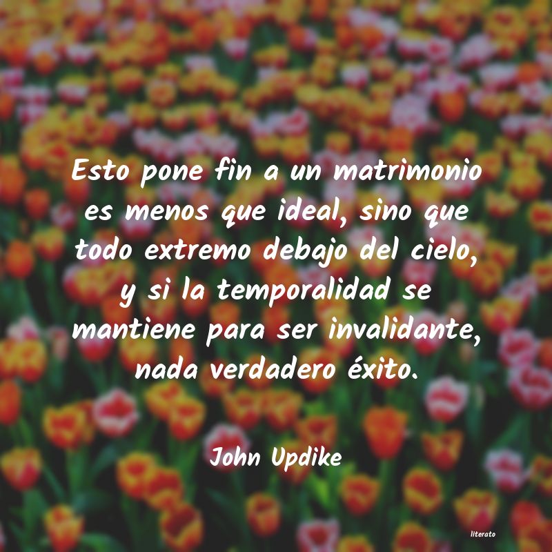 Frases de John Updike