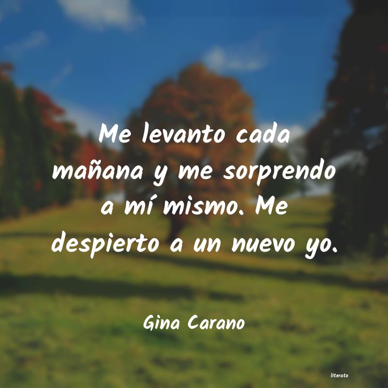 Frases de Gina Carano