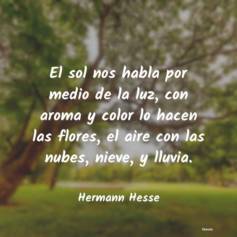 Hermann Hesse: El sol nos habla por medio de