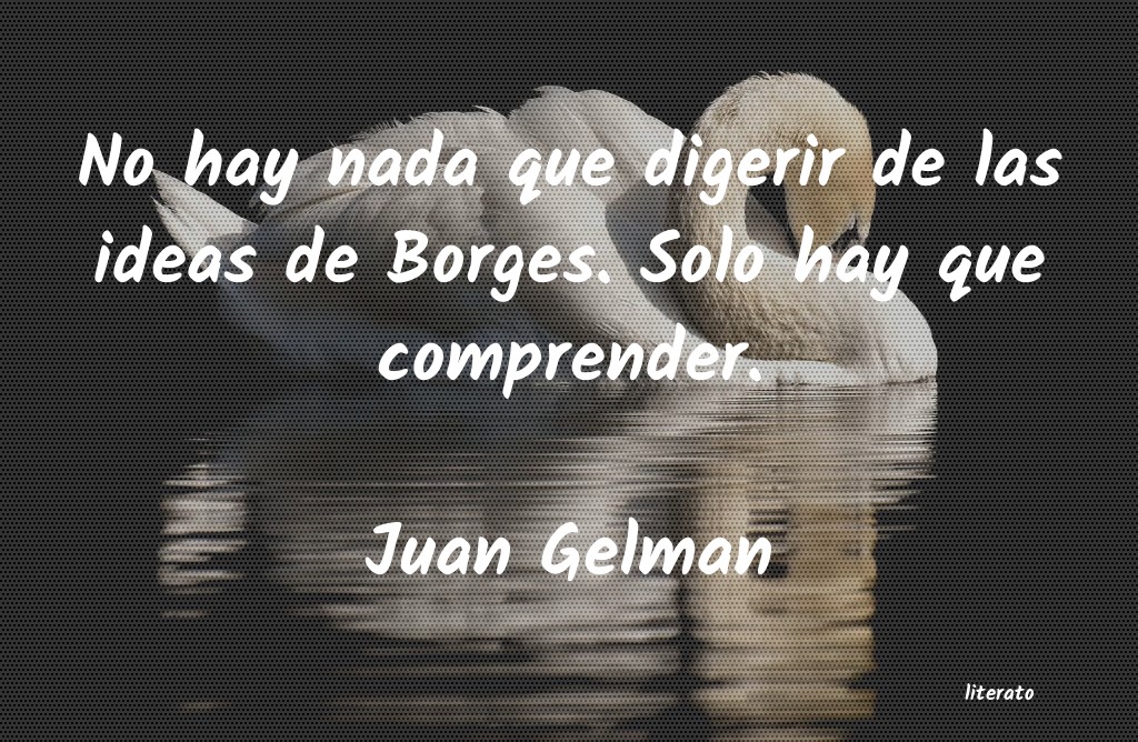 Frases de Juan Gelman