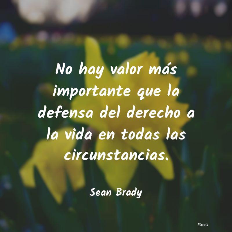 Frases de Sean Brady