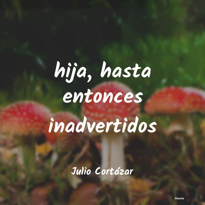 Frases de Julio Cortázar