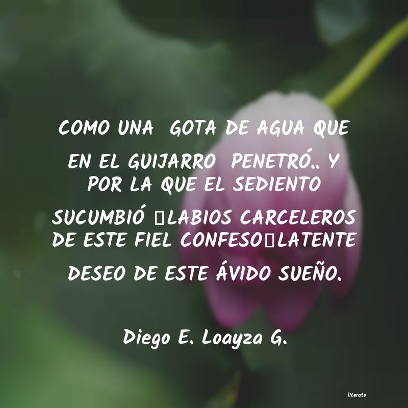 Frases de Diego E. Loayza G.