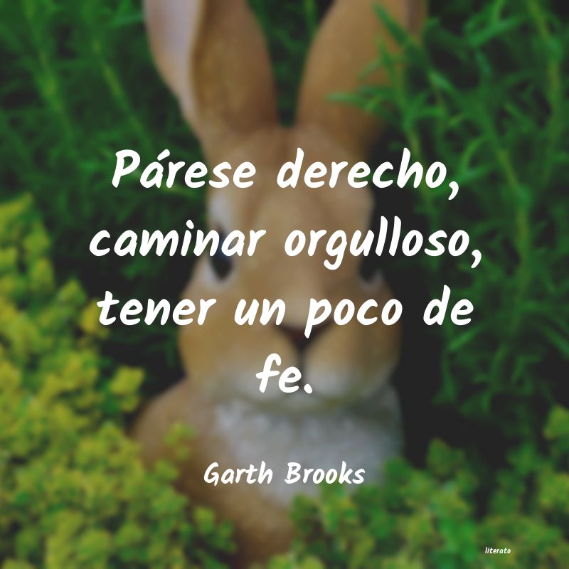 frases de Garth Brooks