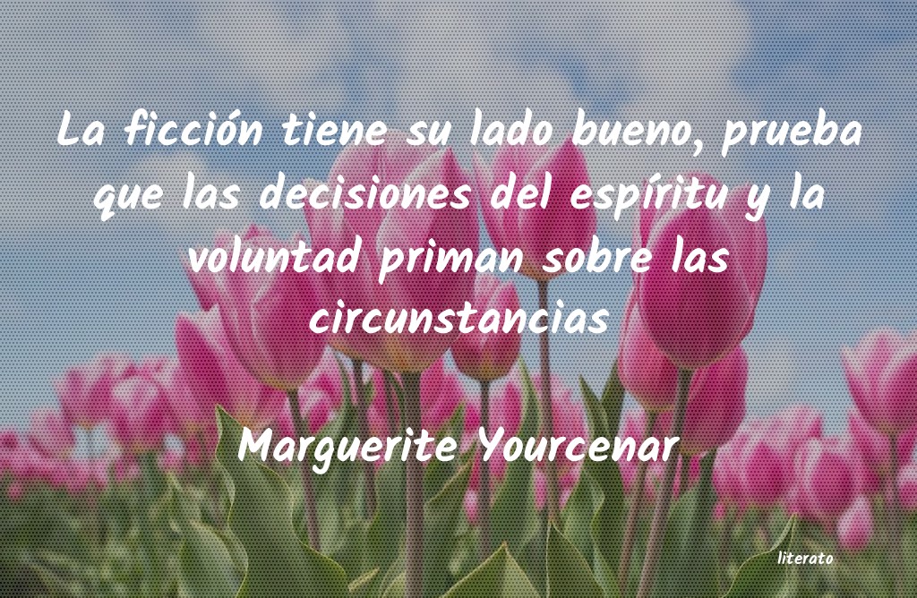 Frases de Marguerite Yourcenar