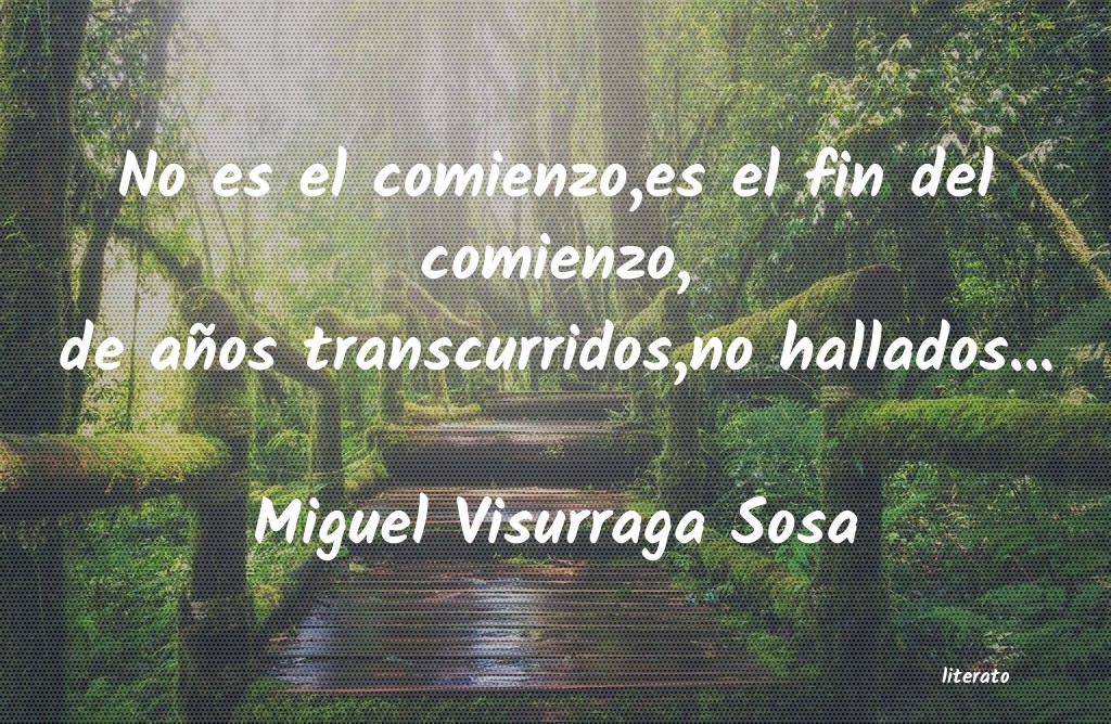 Frases de Miguel Visurraga Sosa