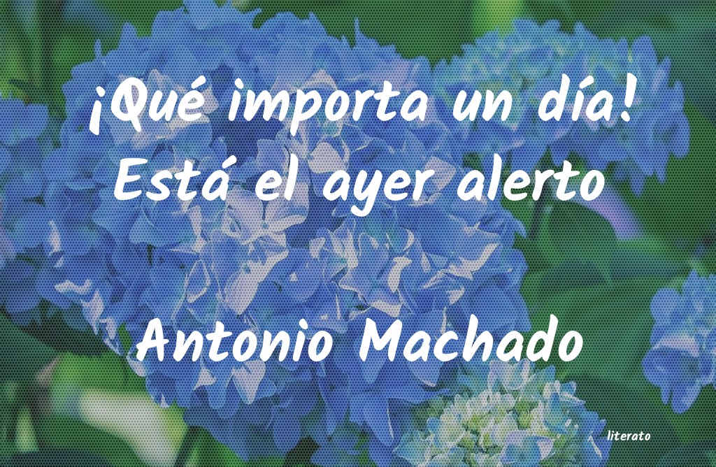 Frases de Antonio Machado