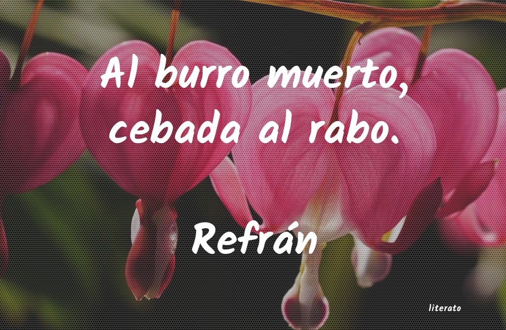 Frases de Refrán