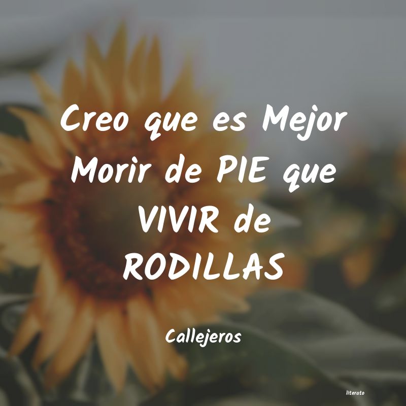 Frases de Callejeros